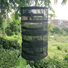 Load image into Gallery viewer, Herb Drying Folding Fishing Net with Zippers Dryer Mesh Tray Drying Rack Flowers Hanger Fish Net Tackle accessory tool
